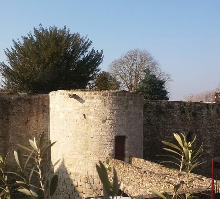 Chambre D'Hote Du Chateau Dourdan Exterior foto